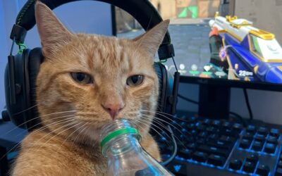ZIDAN-TIPS MEMILIH TEMPAT GAMING YANG NYAMAN